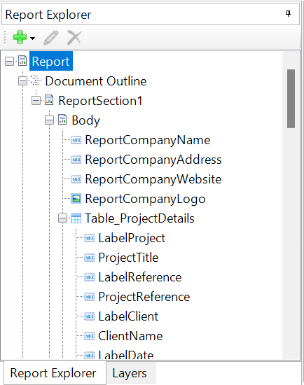 Report Explorer